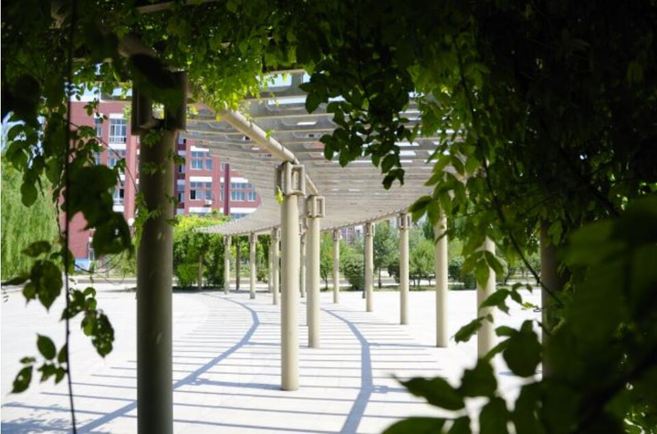 专业解码｜山东协和学院计算机学院