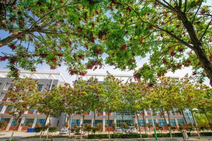 潍坊职业学院单招和综合评价招生报考攻略