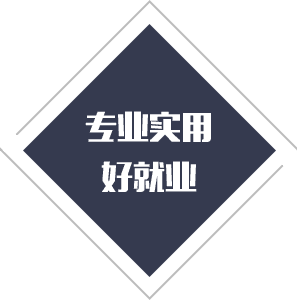 重磅！2020山东力明科技职业学院单招来啦