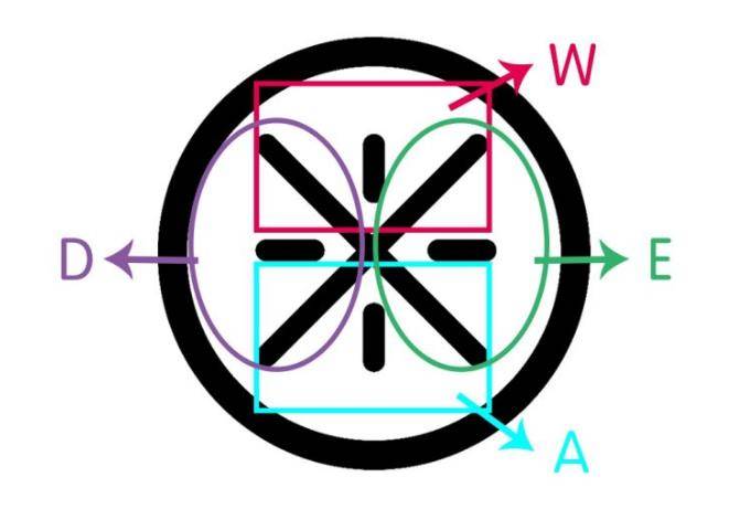 「球星logo解读」韦德：简洁又饱含意义的“菊花标”