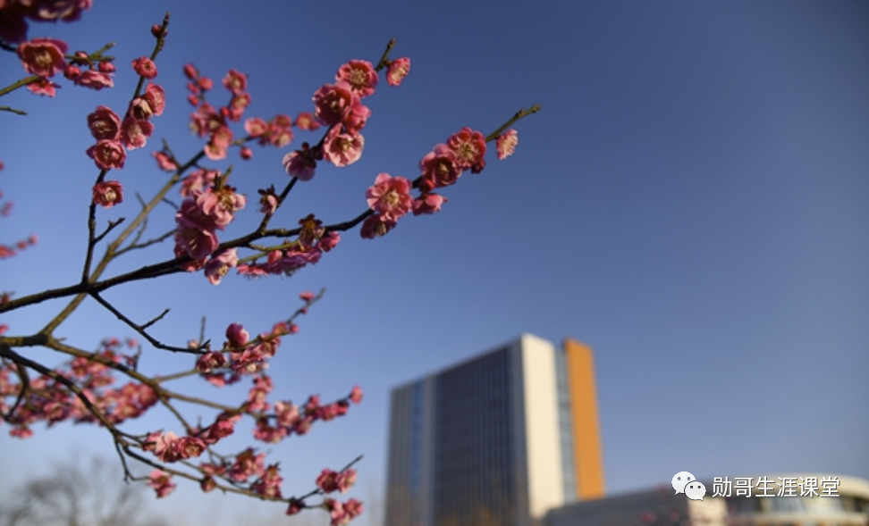 太厉害！这所独立学院录取线超公办本科，考教师编，全省第三