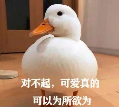 柯尔鸭：我们这届鸭子，已经不是道菜了