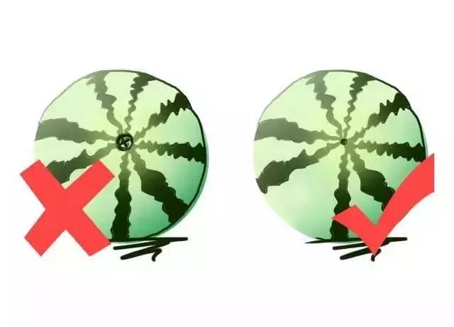水果分寒热，根据体质吃