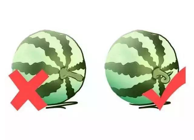 水果分寒热，根据体质吃