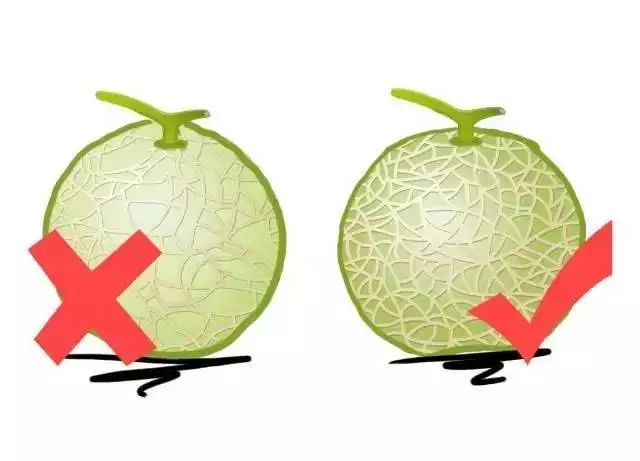 水果分寒热，根据体质吃