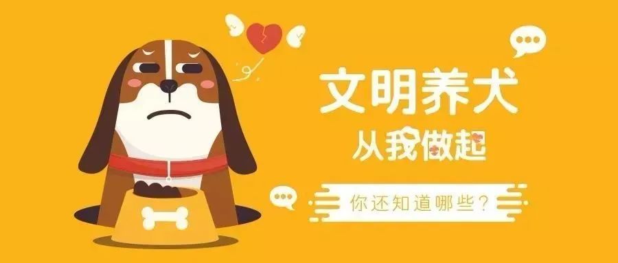 象山人注意！养犬管理条例6月1日起实施，这些行为将重罚！
