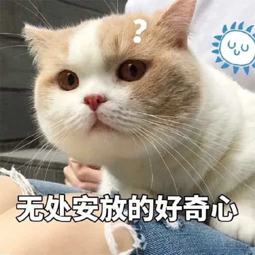 澳尔滨旗下e大饼美哭了~30周年限定惊艳全场！这颜值谁能顶得住......