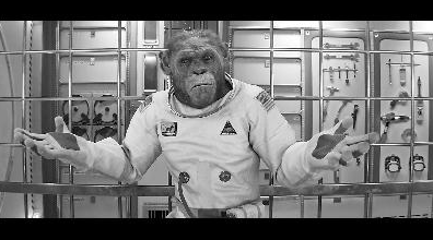 美国的电视剧《宇宙部队》有很多中国的戏剧。