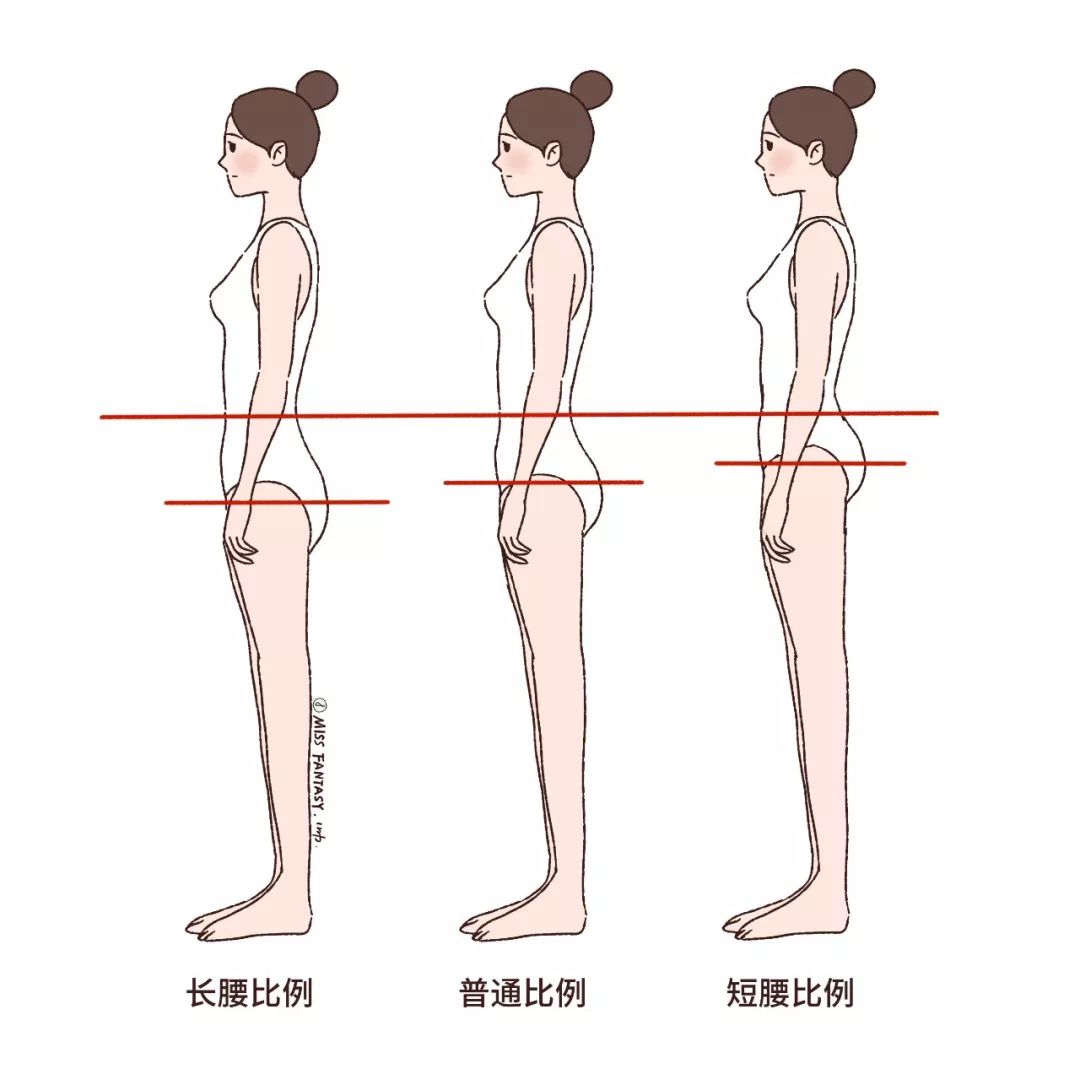 腰围66算是细腰吗（腰围66一般多少斤）