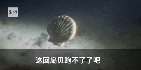 英超利物浦为什么提前夺冠(利物浦首夺英超冠军)