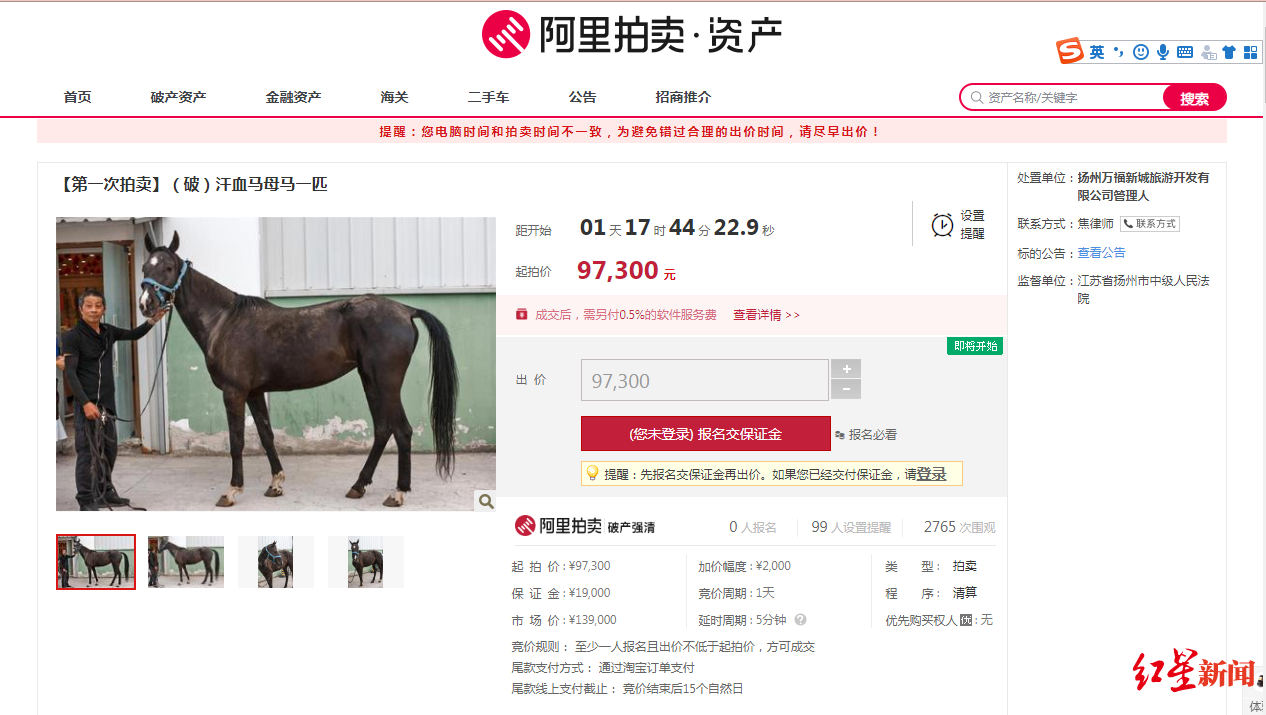 想买汗血宝马吗？9.73万起拍，成交后需自取，扬州首例活体拍卖30日进行