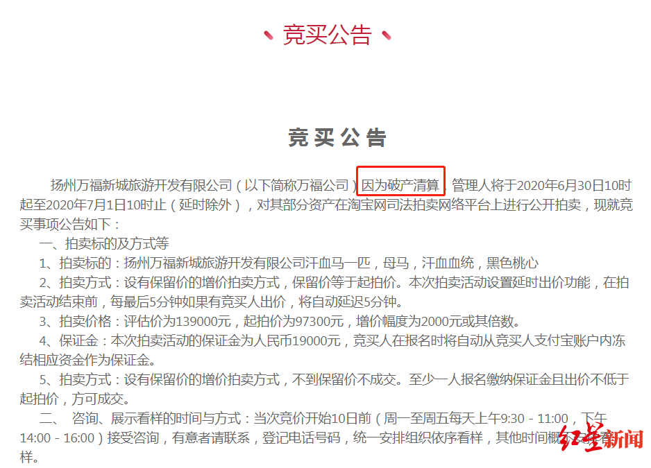 想买汗血宝马吗？9.73万起拍，成交后需自取，扬州首例活体拍卖30日进行