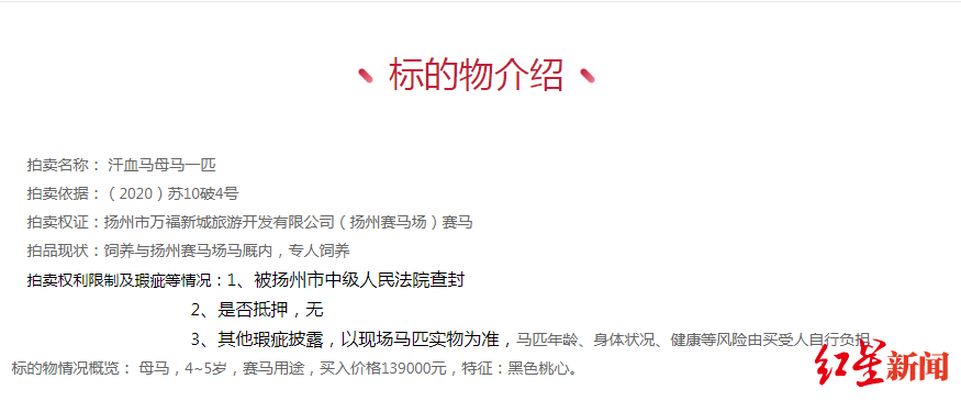 想买汗血宝马吗？9.73万起拍，成交后需自取，扬州首例活体拍卖30日进行