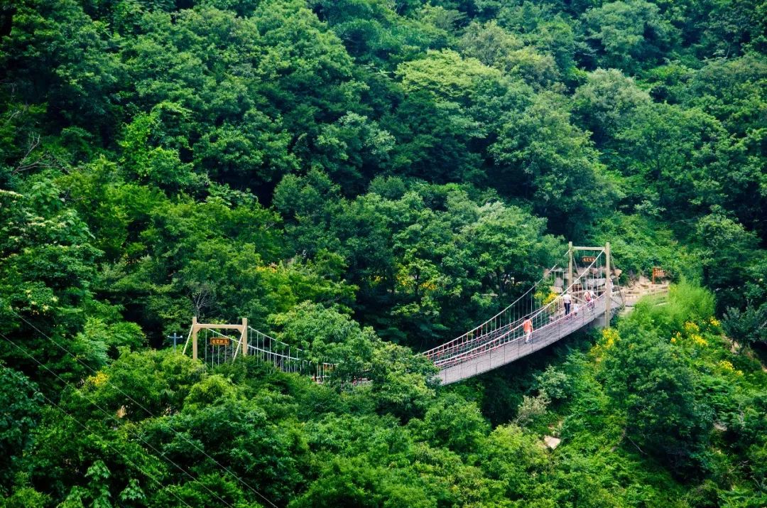 高考准考证还有这个用处