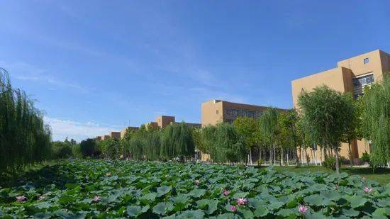 临沂大学建筑学院（院系解码）