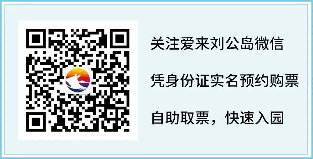 百年龙柏，树与岛，共诉岁月的故事