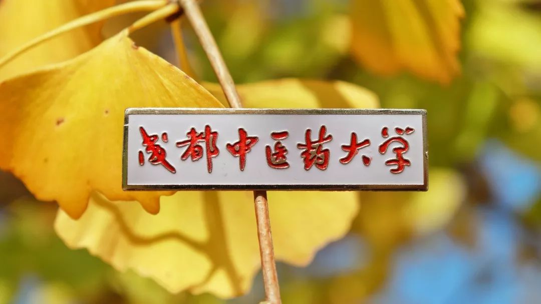 四川这所大学将由省部共建，迎来新发展！