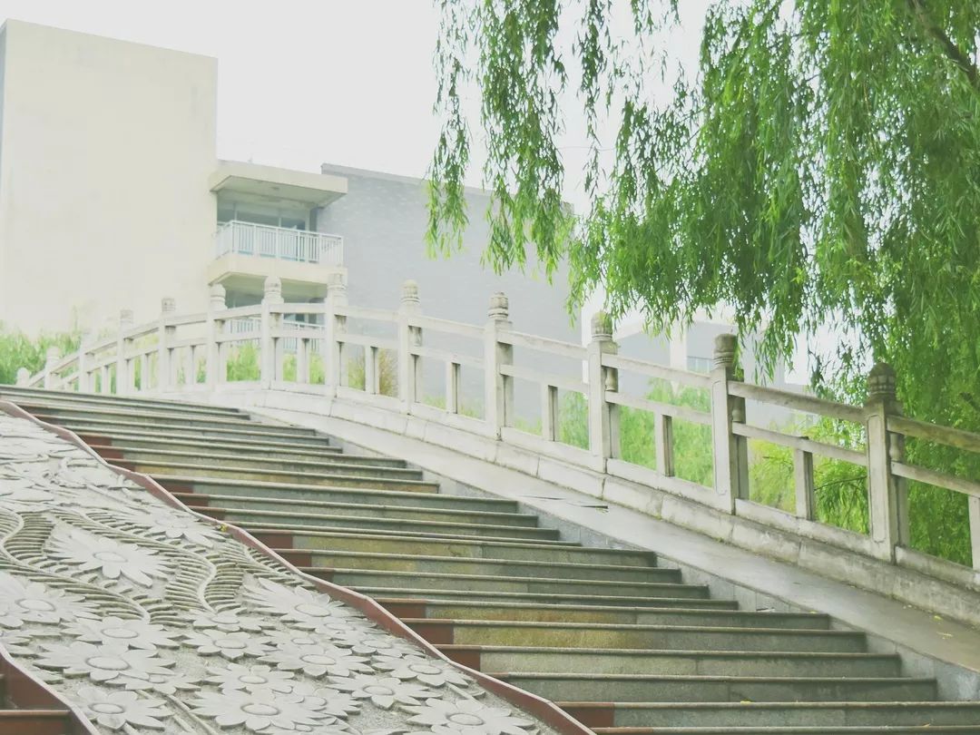 四川这所大学将由省部共建，迎来新发展！