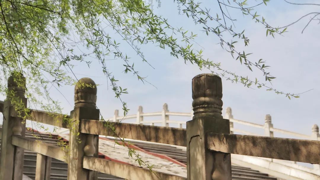 四川这所大学将由省部共建，迎来新发展！