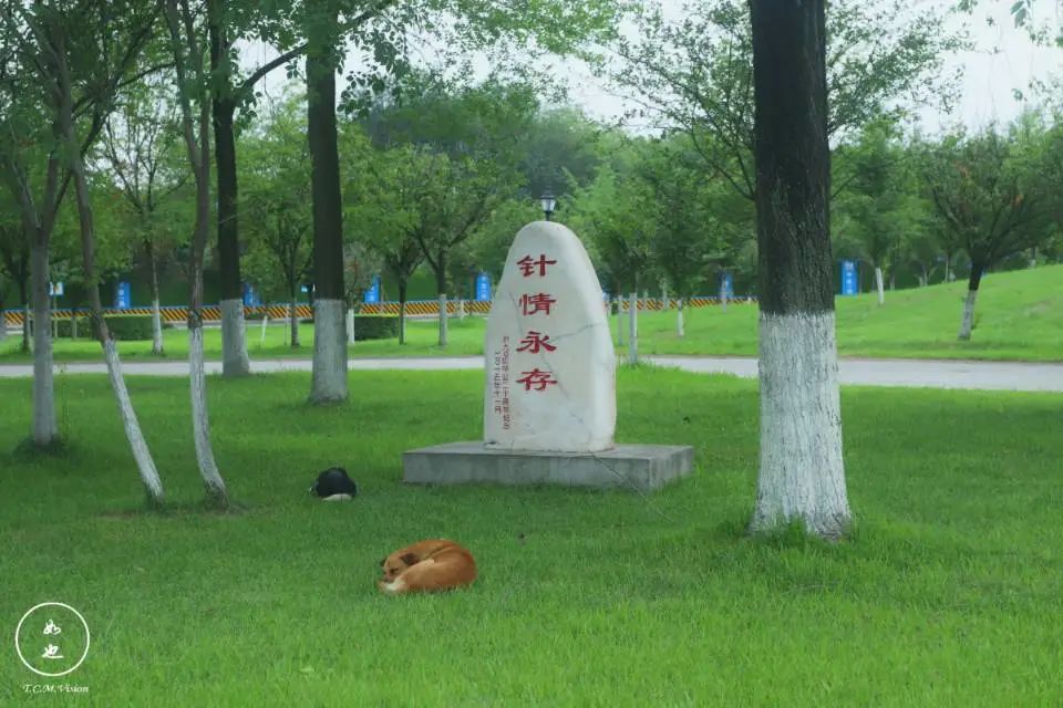 四川这所大学将由省部共建，迎来新发展！