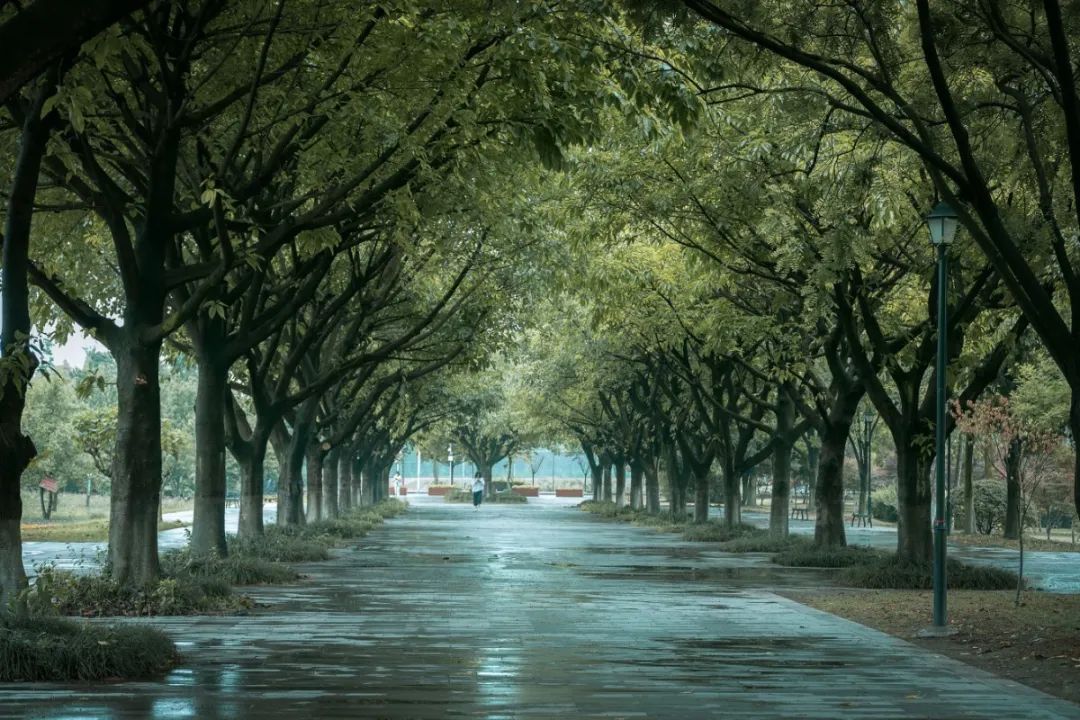 四川这所大学将由省部共建，迎来新发展！