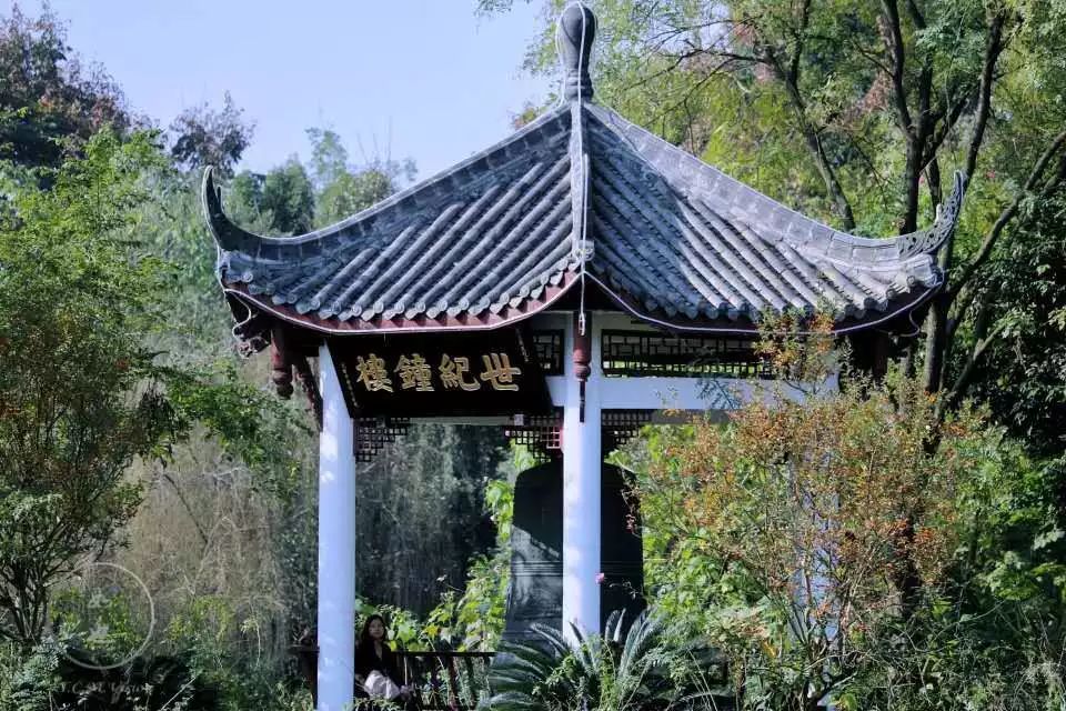 四川这所大学将由省部共建，迎来新发展！