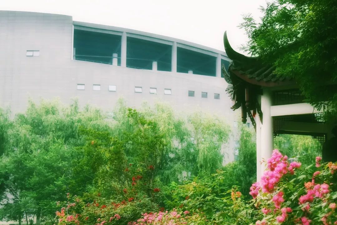 四川这所大学将由省部共建，迎来新发展！