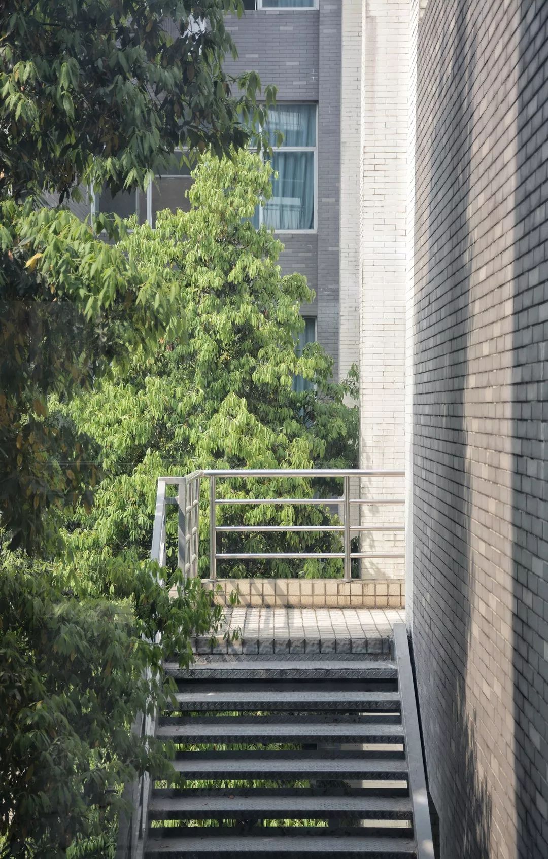 四川这所大学将由省部共建，迎来新发展！