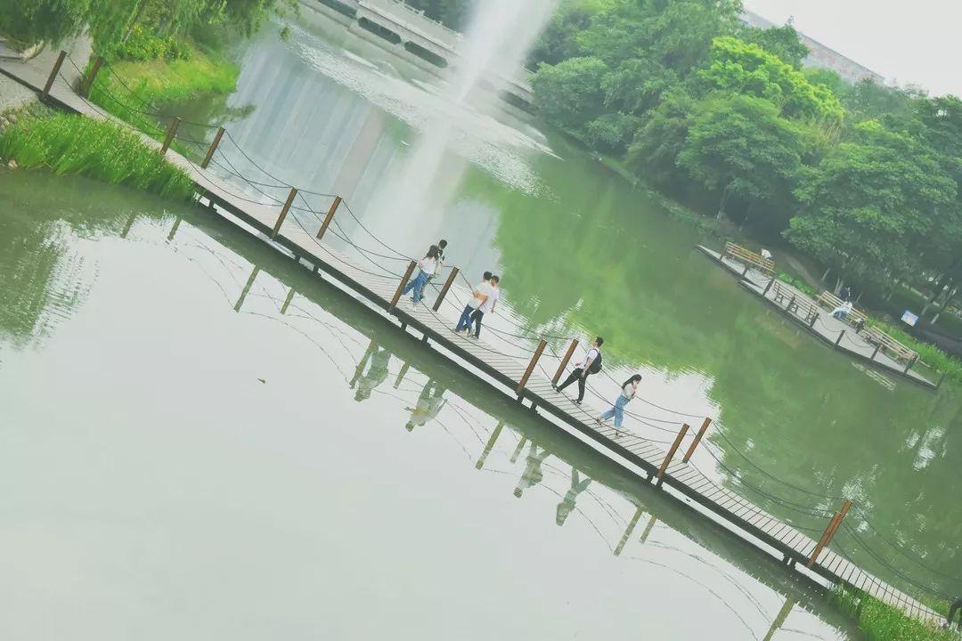 四川这所大学将由省部共建，迎来新发展！