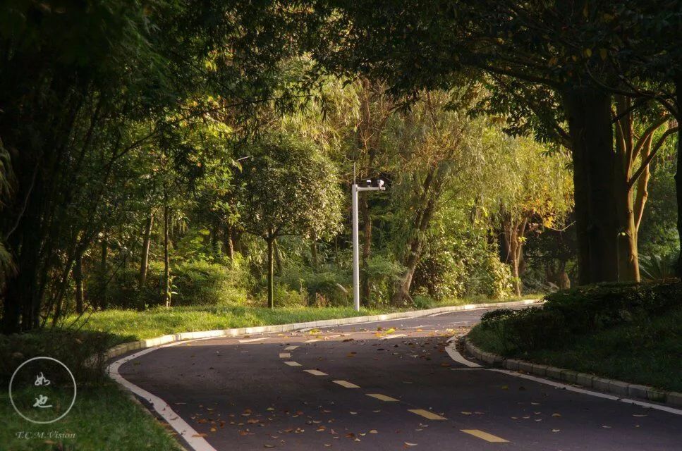 四川这所大学将由省部共建，迎来新发展！