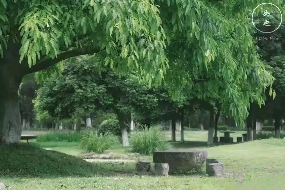 四川这所大学将由省部共建，迎来新发展！