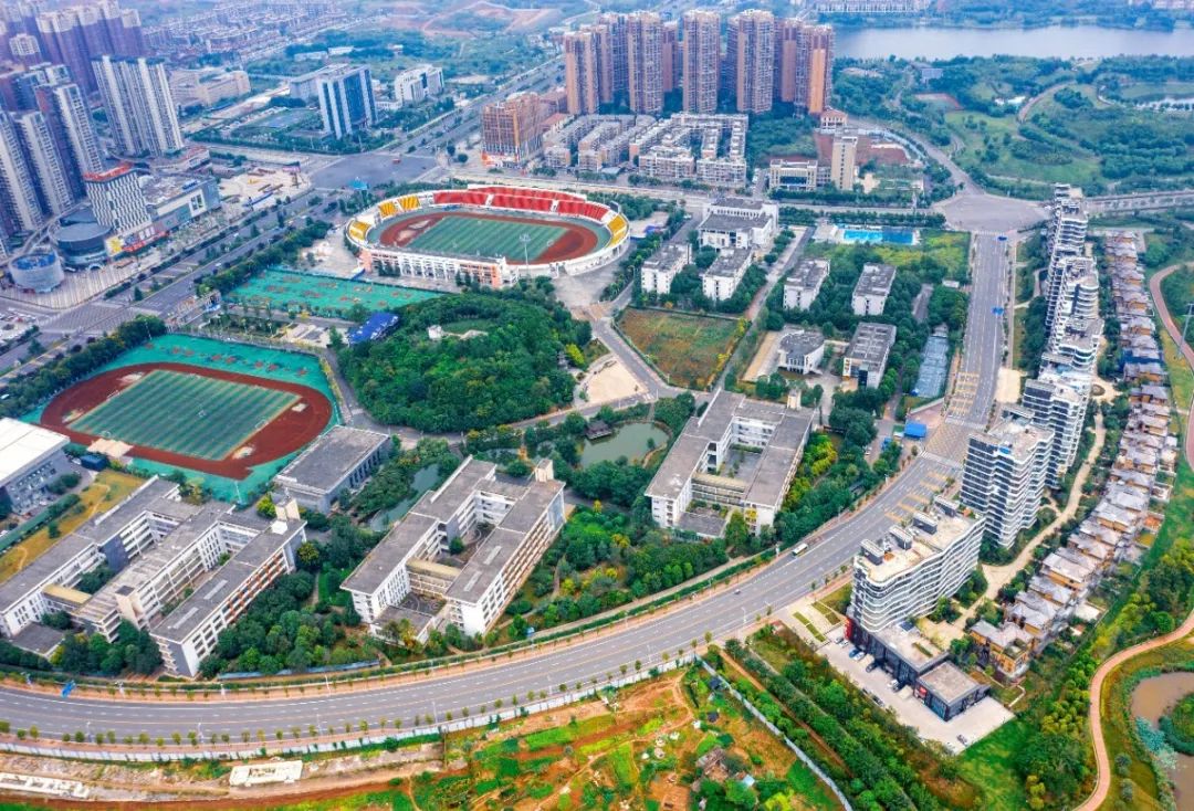 仁寿县2020年下半年公开引进优秀人才等你来pick!