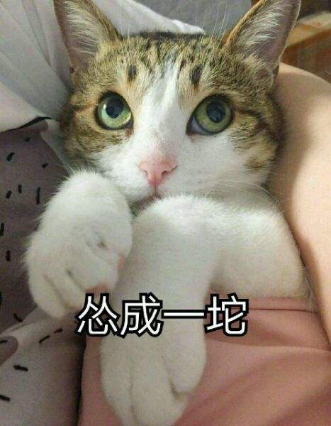 曲婉婷的母亲还没宣判，为何可以被羁押六年？