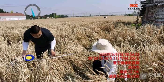 博兴农业现代化夯实粮食生产能力基础