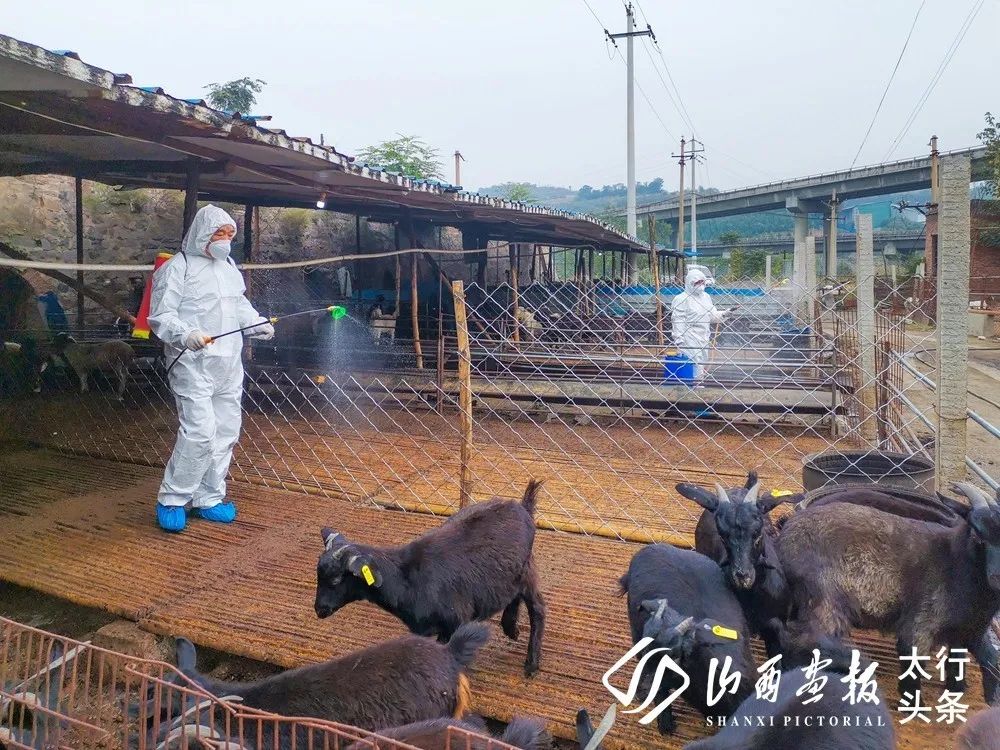 「山西画报·太行头条」图讯在线｜2020山西·沁水第四届半程马拉松赛