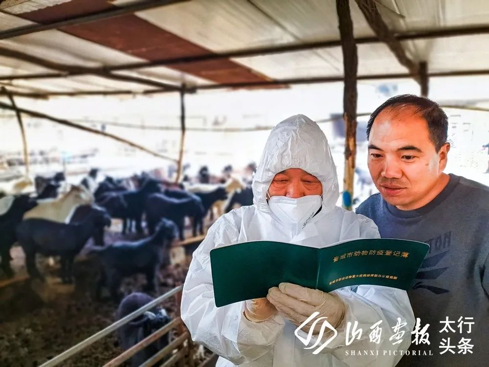 「山西画报·太行头条」图讯在线｜2020山西·沁水第四届半程马拉松赛