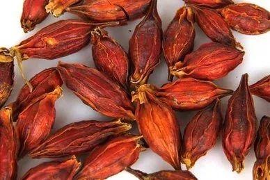 三味常见中药，治愈卵巢囊肿