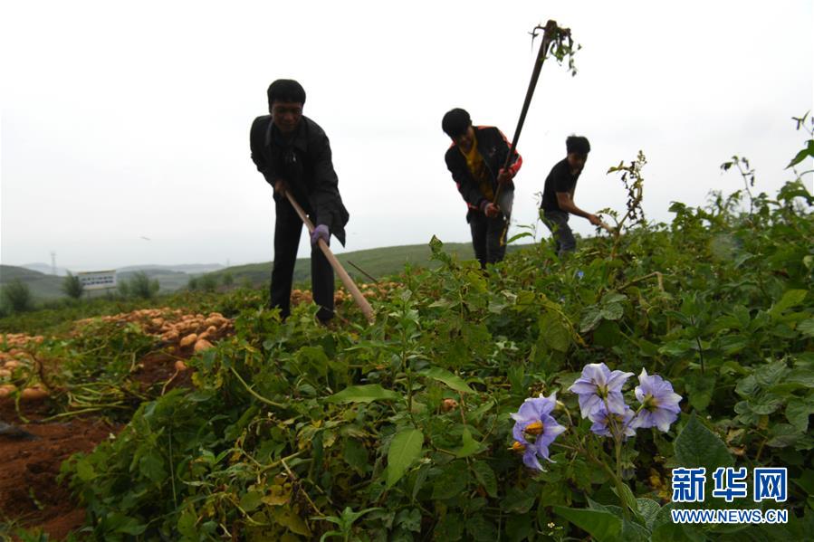 昭通之变——全国贫困人口最多的地级市跨越记