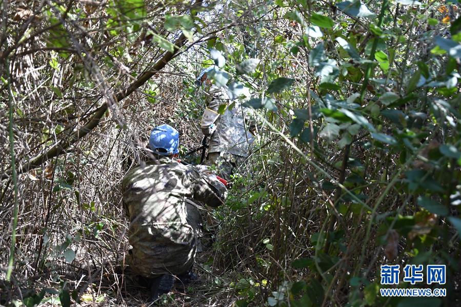 披荆棘穿过“死亡地带”--中国新黎维和官兵首个“青线”调查