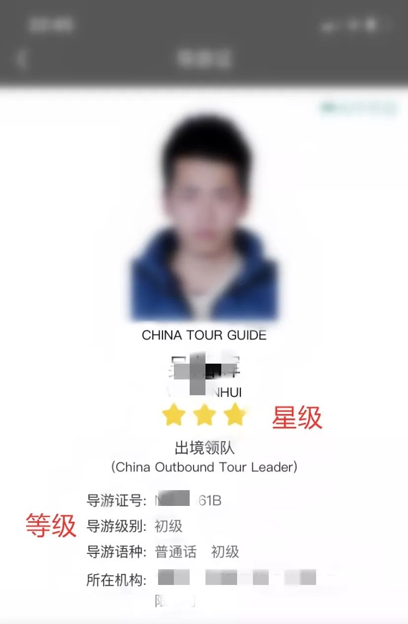 导游证年审平台,导游证年审平台导游证年