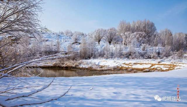 北国风光！“榆林雪”震撼绝美，惊艳了朋友圈