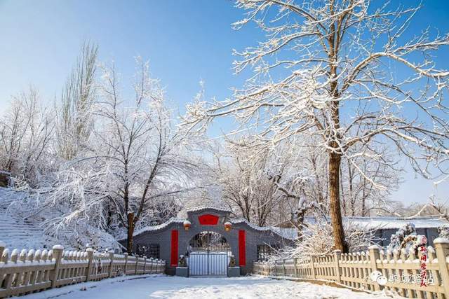 北国风光！“榆林雪”震撼绝美，惊艳了朋友圈