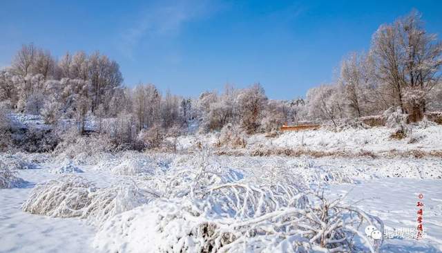 北国风光！“榆林雪”震撼绝美，惊艳了朋友圈