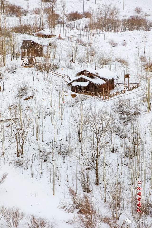 北国风光！“榆林雪”震撼绝美，惊艳了朋友圈