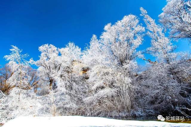 北国风光！“榆林雪”震撼绝美，惊艳了朋友圈