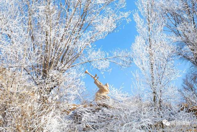 北国风光！“榆林雪”震撼绝美，惊艳了朋友圈