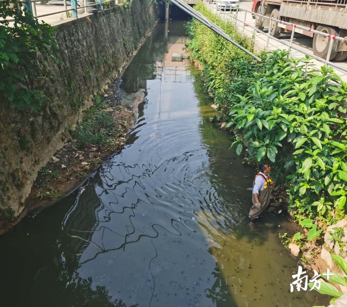 新会西甲村委近哪里(江门12条黑臭水体治理见实效，市民赞叹水清景美)