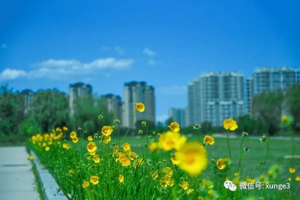 举一省之力，重点打造的这所大学，你毕业的时候，就是双一流