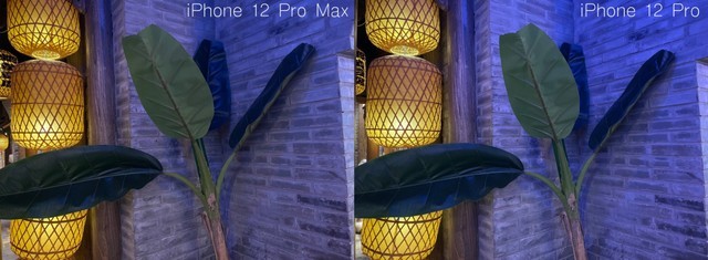 12promax多大尺寸（分享苹果手机的参数详情）