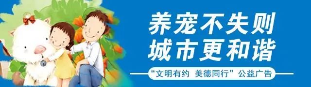 客运资格证,客运资格证怎么办理,大概多少钱